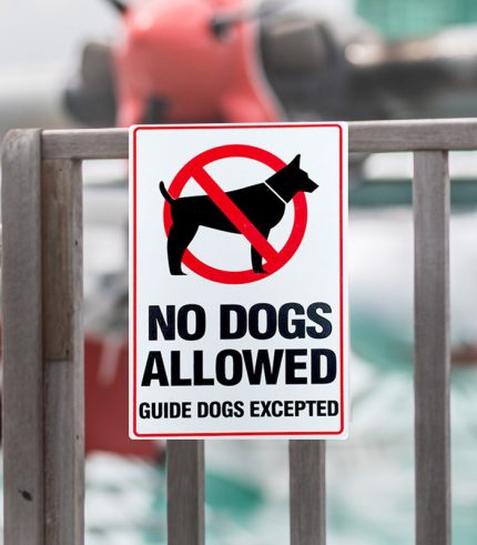 feedback-main-no-dogs-allowed-guide-dogs-excepted-warning-sign-200x300mm